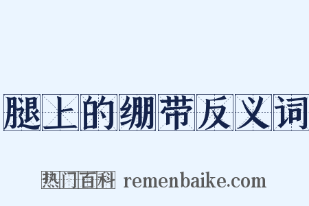 腿上的绷带反义词是什么意思的图片